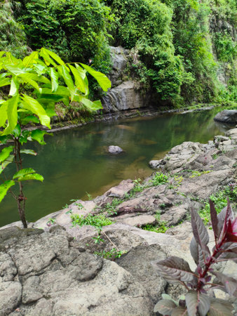 Landscape of a river in the forest, Natural background.の写真素材
