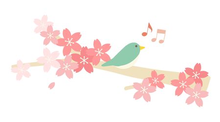 Set of different greenery isolated objects. Isolated vector illustration of Japanese cherry blossoms.のイラスト素材