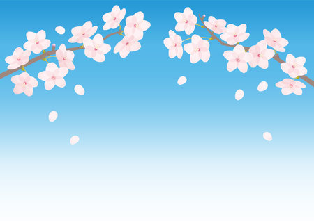 Cherry blossoms in simple minimalist lines, perfect for spring-themed and modern designs. Vector for posters, backgrounds, web design, social media, and advertising materials. Vector of gradation.のイラスト素材