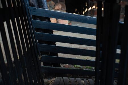 A fancy fenceの写真素材