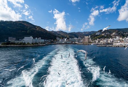 Japanese tourist spots / Townscape and seagulls seen from the sea of Atamiの写真素材