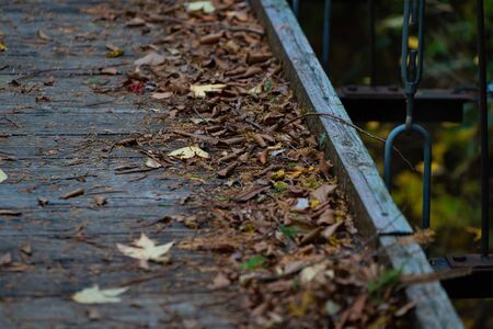 Nature forest and mountain road imageの写真素材