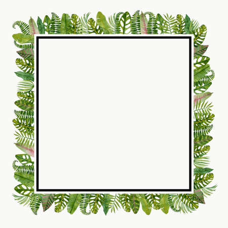 square frame with tropical leaves monstera palm leaf on white background for decoration high resolutionの写真素材