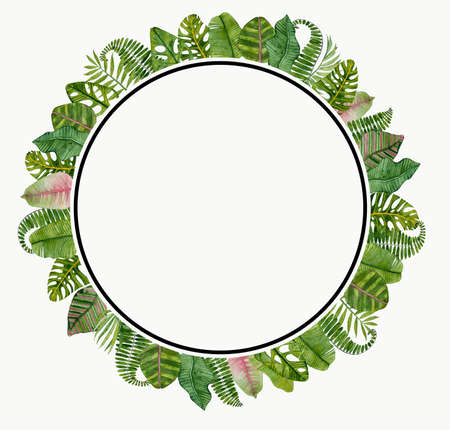 round frame with tropical leaves monstera palm leaf on white background for decoration high resolutionの写真素材