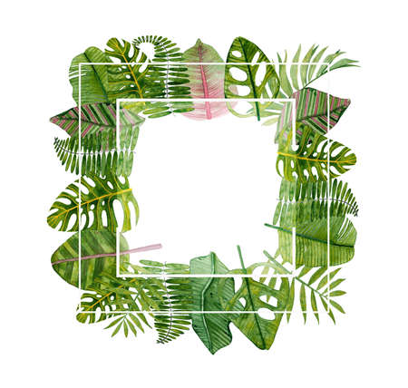 square frame transparance with tropical leaves monstera palm leaf on white background for decoration high resolutionの写真素材