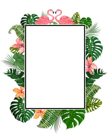 rectangle tropical monstera banana, palm, coconut, flower and bird frame with white background high resolution for wedding or decoration interiorsの写真素材