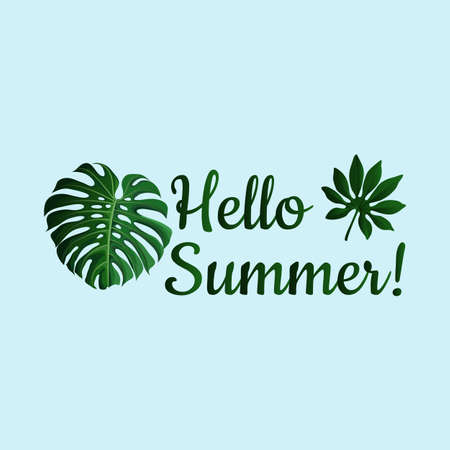 hello summer with green monstera leaves on blue background - hello summer vector with flower.のイラスト素材