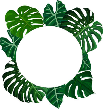 round frame with monstera leaves - vector square frame with monstera leaves high resolutionのイラスト素材