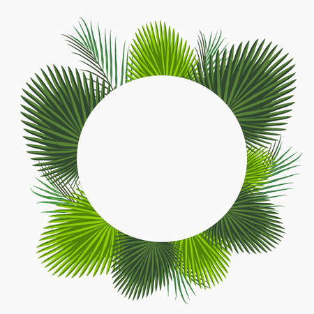 round frame with palm leaves - vector round frame with palm leaves high resolutionのイラスト素材