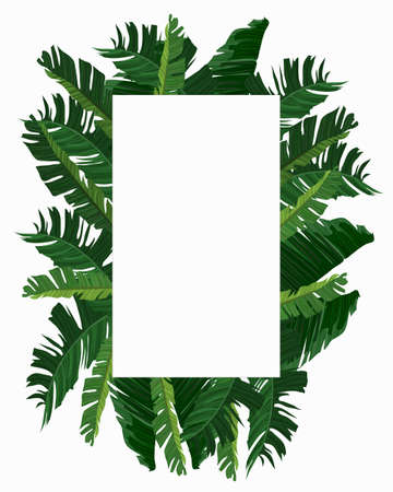 21. rectangle frame with banana leaves. vector frame rectangle with banana leaves - nature frame tropicalの写真素材