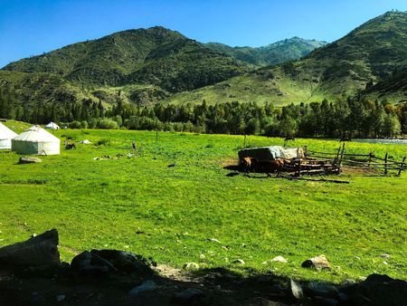 Pasture with yurtsの写真素材