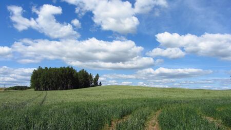 fieldの写真素材