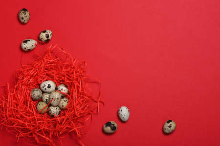 Quail eggs in a nest made of red paper on a red background. Easter concept. Flat lay. Copy space.の写真素材