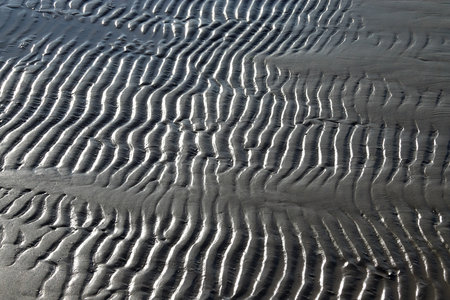 sea beach. Ribbed sand texture in shallow water.の写真素材