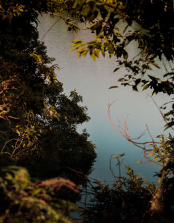 Dark moody background theme for wallpapers and designs of beautiful and calm lake with forests and tree leaves.の写真素材