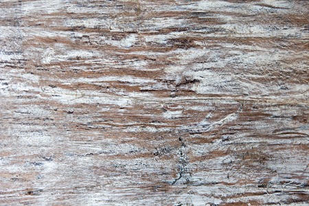 Background texture of old white painted wooden lining boards wall. Fence surfaceの写真素材
