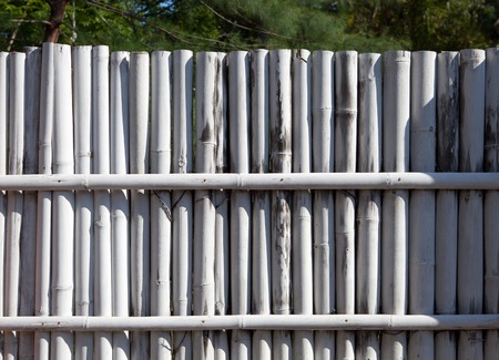 white bamboo fence in a tropical country in the morning sunの写真素材