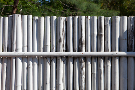 white bamboo fence in a tropical country in the morning sunの写真素材