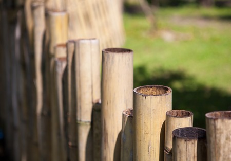 Old bamboo fence in a tropical country with sunlight. Texture backgroundの写真素材