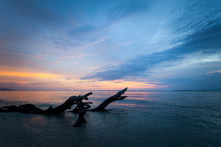 Beautiful sunrise with Stumps and roots of dead mangrove trees at the beach.の写真素材