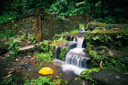 A small waterfall by the stone stairs covered with moss in the tropical jungleの写真素材