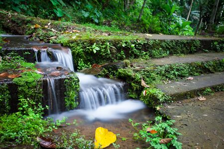 A small waterfall by the stone stairs covered with moss in the tropical jungleの写真素材