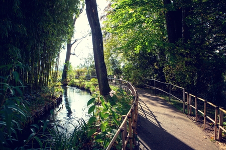 Claude Monets garden in autumn, the Creek and the path with bamboo trees on a Sunny day