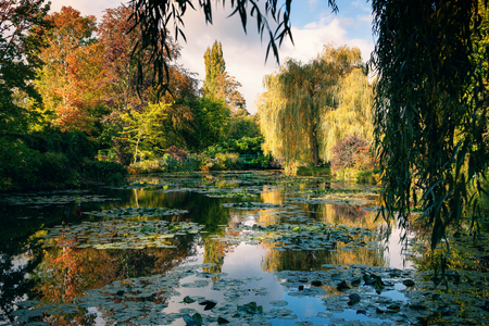 Claude Monet the garden in autumn, water lilies in the lake on a Sunny day