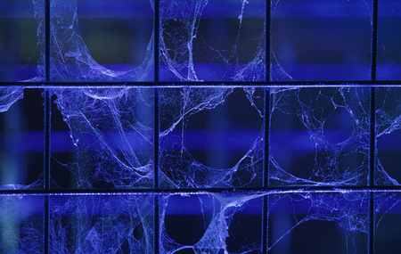 Cobweb on metal grid for horror background, dark blue decorationの写真素材