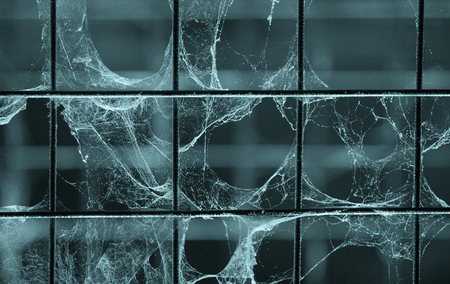 Cobweb on metal grid for horror background, blue decorationの写真素材