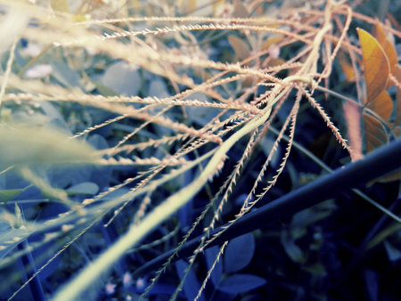 bright lineの写真素材