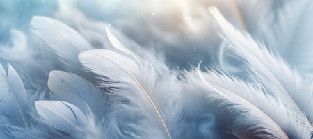 sky-colored feathers. background.の素材