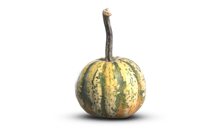 3D illustration of small decorative green pumpkin on white backgroundの写真素材