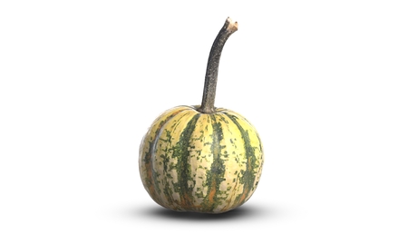 3D illustration of small decorative green pumpkin on white backgroundの写真素材