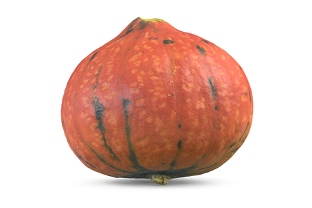 3D illustration of Pumpkin isolated on white backgroundの写真素材