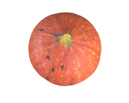 3D illustration of Pumpkin isolated on white backgroundの写真素材