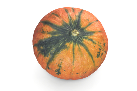 3D illustration of Pumpkin isolated on white backgroundの写真素材