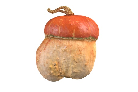 3D illustration of Pumpkin isolated on white backgroundの写真素材