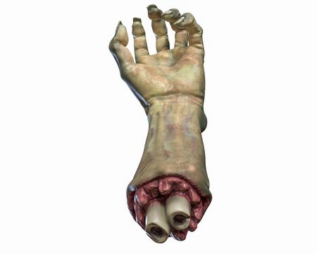 3D render of cutted Zombie hand, Halloween theme. Isolated on white background.の写真素材