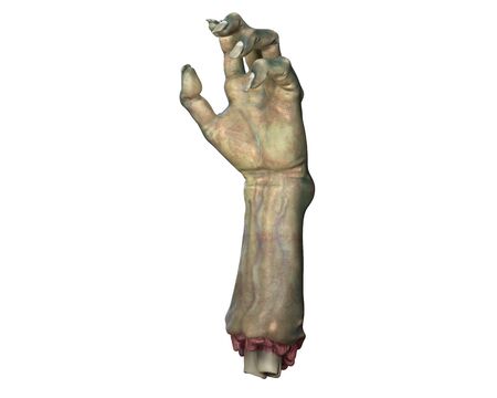 3D render of cutted Zombie hand, Halloween theme. Isolated on white background.の写真素材