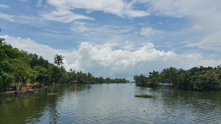 Beautiful backwaters in India.の素材