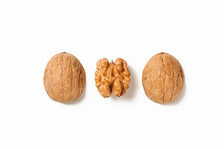 Walnut on white background. Peeled walnut on white. Half Walnut isolate. Full depth of field.