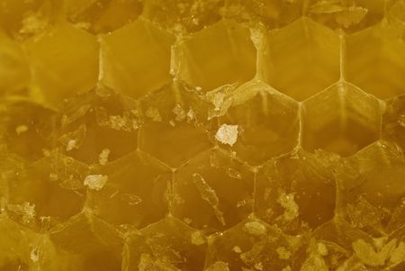 Sweet yellow honey cell