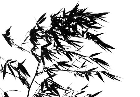 -- resembling a Chinese paintingの写真素材