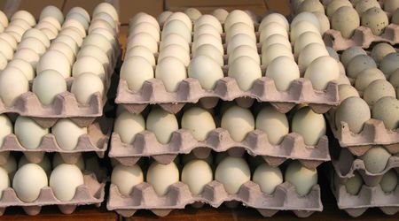 Fresh Country Eggs for Sale -- at an outdoor market, stacked in trays