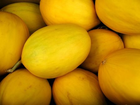 Honeydew Melons -- the honeydew belongs to the muskmelon group, Latin name is Cucumis meloの写真素材
