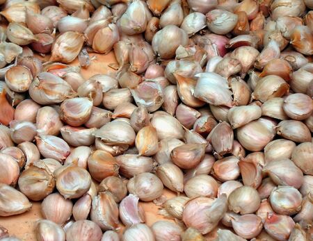 Plenty of Garlic -- garlic cloves spread our for sale at a marketの写真素材