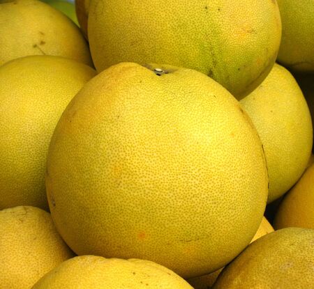 Large Pomelos -- they are also called Chinese grapefruit or shaddockの写真素材