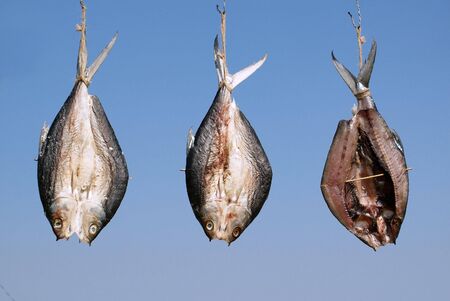 Filleted fish is hung up to dry, a Taiwan specialtyの写真素材