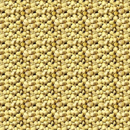 Lotus seeds, an important ingredient for Chinese medicineの写真素材